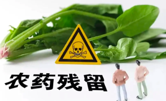 郑州食品检测中国呢如何测试食品中的农药残留呢？